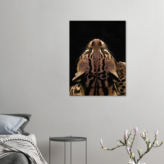 b5c1c7e5-2ed5-47e0-beaf-8502b1987453