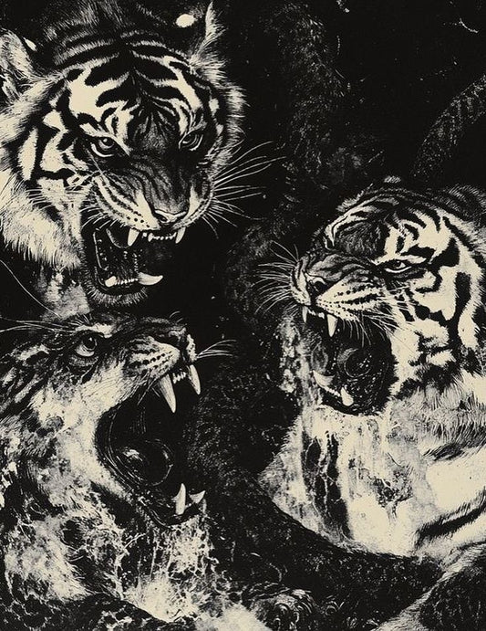 Tiger Trio