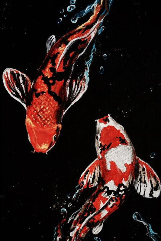 Midnight Koi